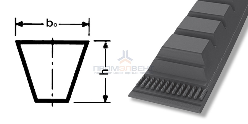 ремень xpa 800