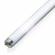 Люминесцентная лампа T8 Philips TL-D 18W/865 SUPER 80 G13, 590 mm